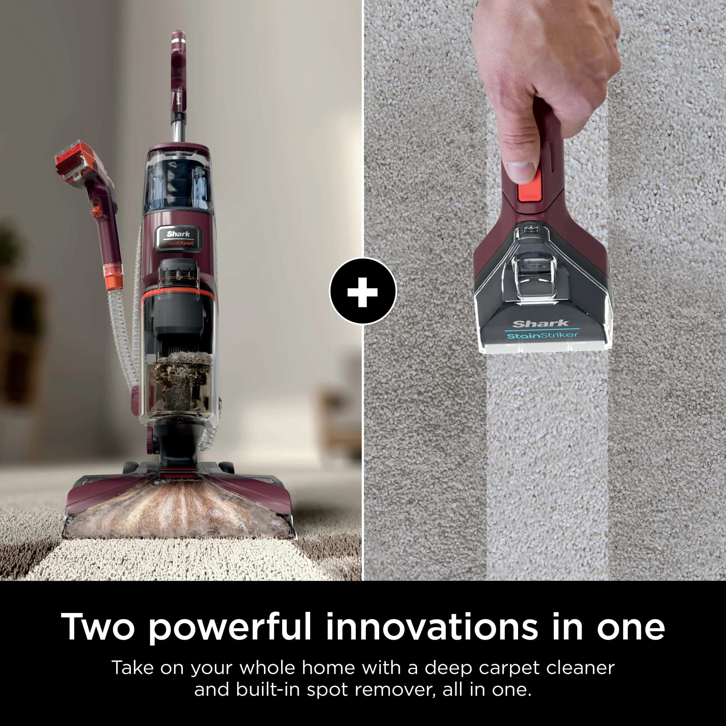 Shark CarpetXpert Upright Deep Carpet, Area Rug & Upholstery Cleaner with Built-in Spot & Stain Eliminator and 12 oz Deep Clean Pro Cleanser, EX150